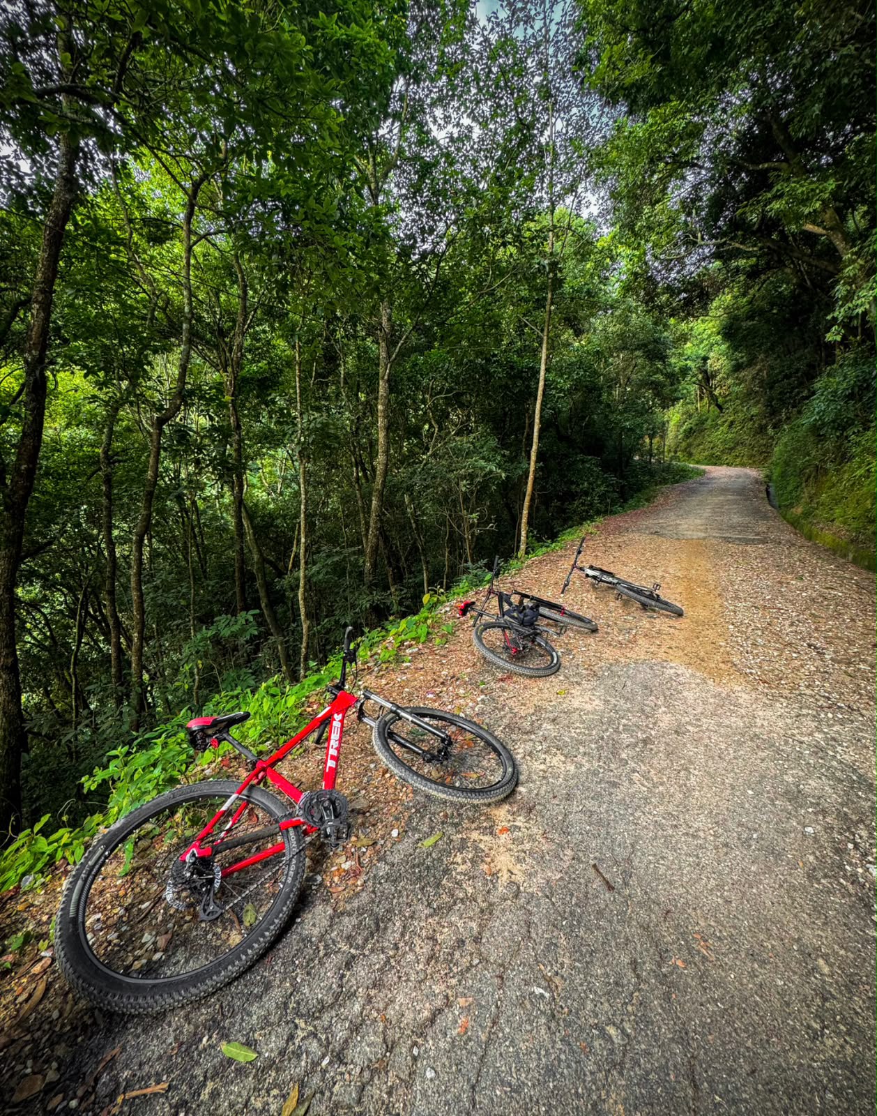 nursery-bhyanjyang-cycling-3.jpeg