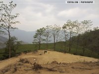bhotechaur-10.jpg